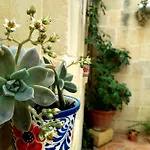 B&B Laremi Gozo 4*
