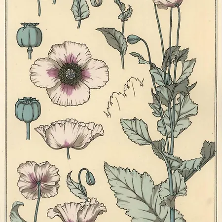 Laremi Gozo Bed and Breakfast 4*