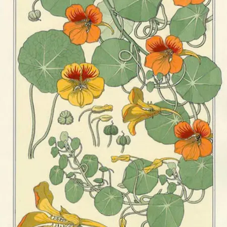 Bed and Breakfast Laremi Gozo 4*