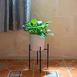 Bed & Breakfast Laremi Gozo