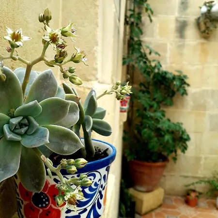 Bed & Breakfast Laremi Gozo 4*