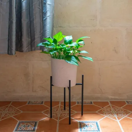 ベッド・アンド・ブレックファスト Laremi Gozo