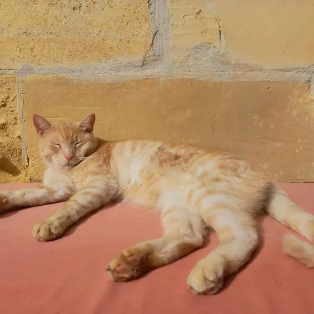 Laremi Gozo Bed & Breakfast Nadur