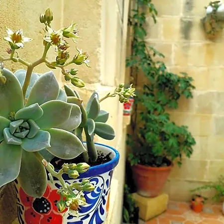 Bed & Breakfast Laremi Gozo