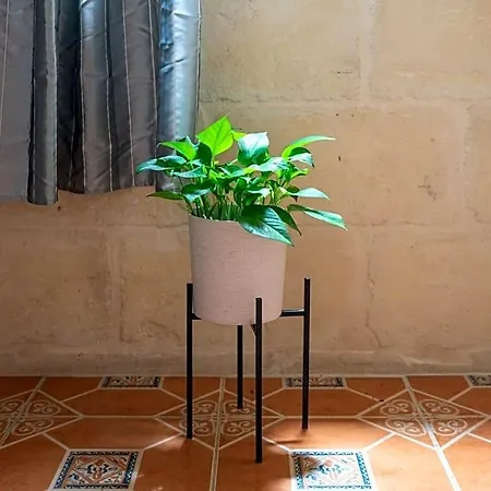 Laremi Gozo Bed & Breakfast