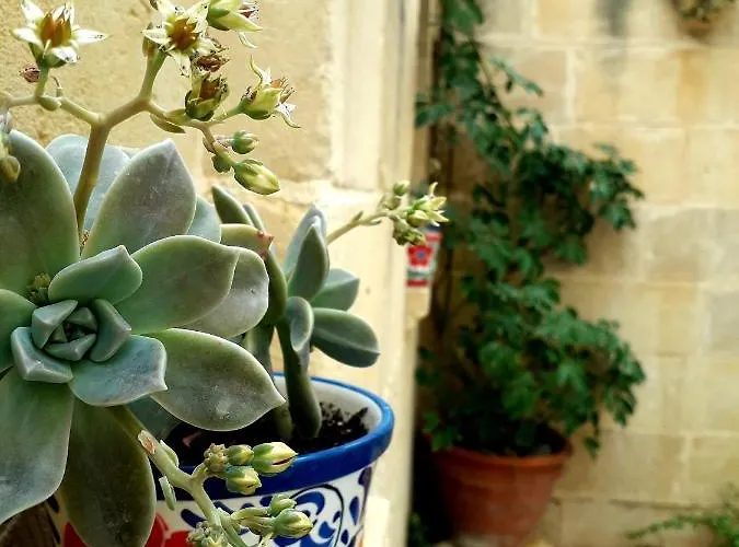 Nocleg ze śniadaniem Laremi Gozo 4*