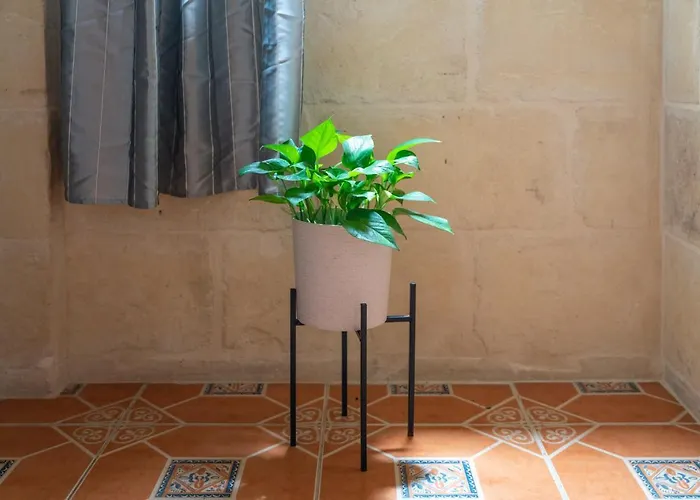 Nocleg ze śniadaniem Laremi Gozo