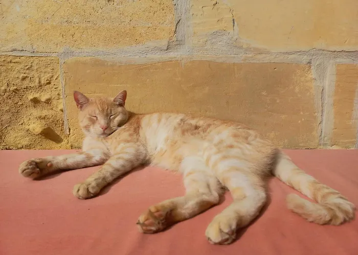 Laremi Gozo Nocleg ze śniadaniem Nadur