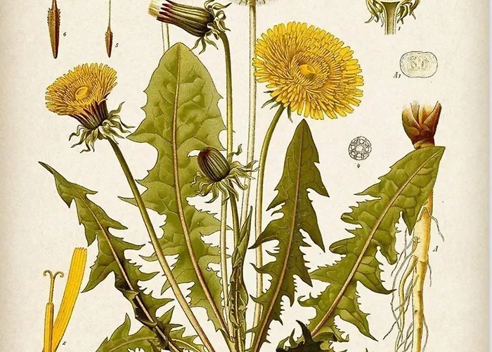 Laremi Gozo Nocleg ze śniadaniem Nadur